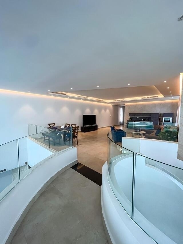 Palm  ( <i style='color:#B10622'> VVIP</i> )